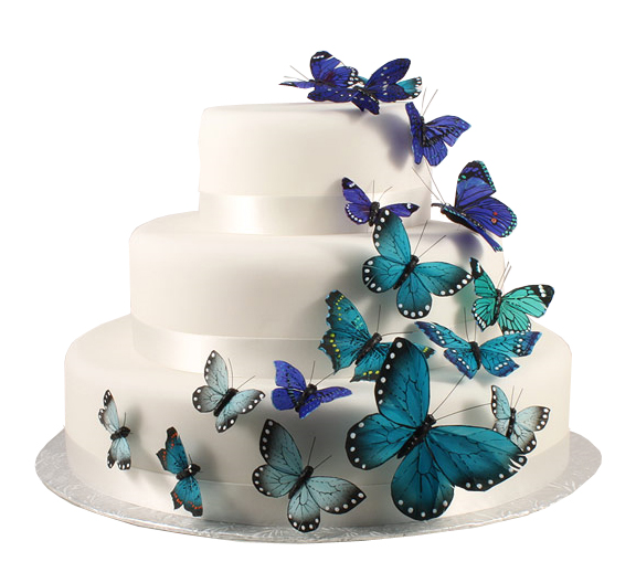 unknown Hand Painted Something Blue Butterfly Cake Decoration